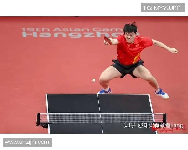 武汉乒乓球队员个人能力深度对比分析与发展潜力探讨
